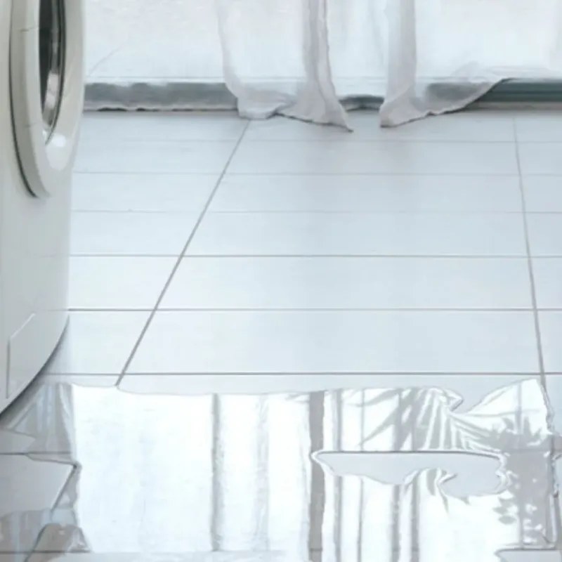 Appliance Leak Cleanup in Ford Heights, IL
