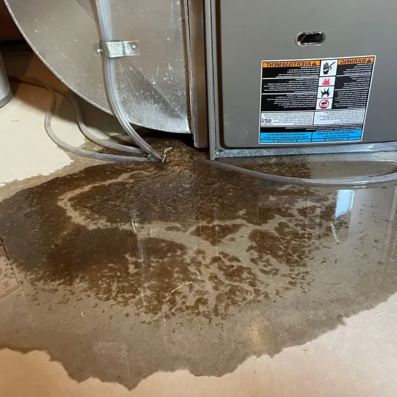 Pipe Burst and Leak Restoration in Ford Heights, IL
