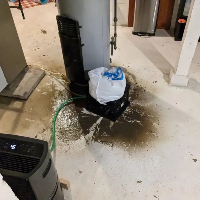 Sewage Backup Cleanup Service in Ford Heights, IL